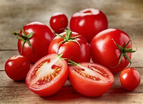 قیمت گوجه فرنگی ورامین + خرید باور نکردنی